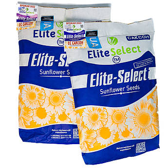 Соняшник "Саксон" Еліта Селект Під ГРАНСТАР/СУМО