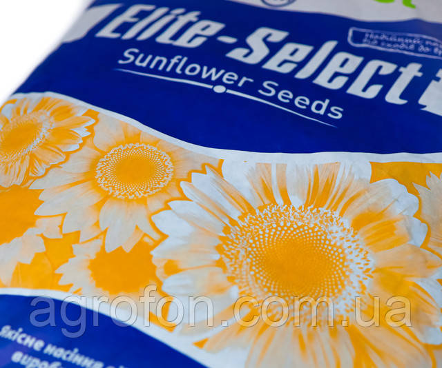 Насіння Соняшнику Саксон Стандарт - AGROFON Насіння Соняшнику Саксон Стандарт