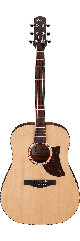 Акустична гітара IBANEZ AAD100 OPN