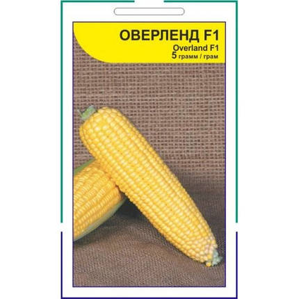 Насіння кукурудзи Оверленд F1, 5 г — середньостигла (85 днів), ДУЖЕ солодка! Syngenta, фото 1