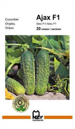 Аякс F1 насіння огірка, 20 насінин — бджолозапильний, Nunhems, фото 1