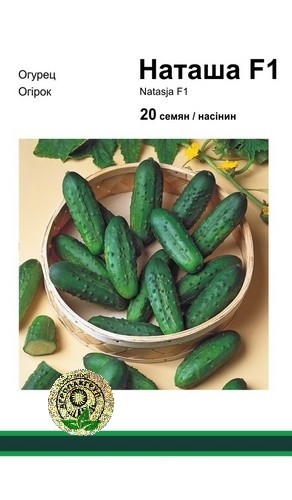 Насіння огірка Наташа F1, 20 насінин - бджолозапильний, ранній гібрид (40-45 днів) Seminis