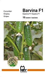 БАРВИНА F1 / BARVINA F1, 10 насінин — партенокарпічний огірок, Nunhems