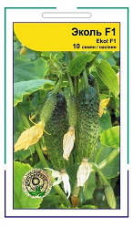 Еколь F1 насіння огірка, 10 насінин — партенокарпічний огірок, Syngenta