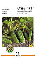 Семена огурца Криспина F1, 15 семян ранний гибрид (38-40 дней), партенокарпик Nunhems