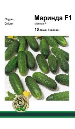 Маринда F1 насіння огірка, 10 насінин — ранній, партенокарпічний, Seminis