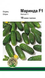 Маринда F1 насіння огірка, 10 насінин — ранній, партенокарпічний, Seminis