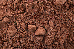 Какао порошок темний алкалізований 10-12% (100 гр) Іспанія