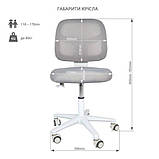 Дитяче ортопедичне крісло Cubby Marte Blue з підлокітниками, фото 3