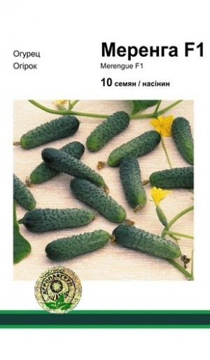 Меренга F1 огірок (Seminis), 10 насіння — ультрарарідкісний, партенокарпік, тепличний