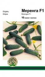 Меренга F1 огірок (Seminis), 10 насіння — ультрарарідкісний, партенокарпік, тепличний