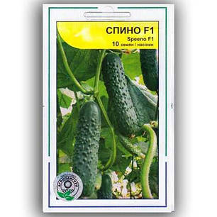 Спино F1 / SPINNO F1 насіння огірка, 10 насінин — партенокарпічний, Syngenta, фото 1