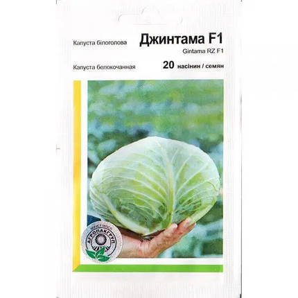 ДЖІНТАМА F1 / GINTAMA F1, 20 насіння — капуста білочана, Rijk Zwaan, фото 1