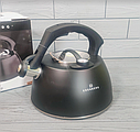 Чайник зі свистком і термометром із неіржавкої сталі Об'єм 3 л Edenberg EB-8815/ Чайник для плити, фото 2