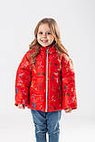 Стильна демісезонна куртка для дівчинки Аміра принт, розміри 80-110, фото 2
