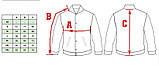 Толстовка фліс Mil-Tec USAF JACKE RANGER GREEN 10430012, фото 4