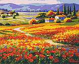 Картина за номерами Riviera Blanca Маки Провансу 40x50 см (RB-0459), фото 5