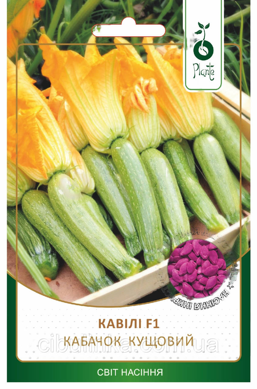Насіння Кабачок Кавілі F1 Plante 15 г, фото 1