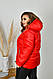 Стильна куртка демі батальна 50-52, 54-56 58-60 62-64 червоний жовтий білий блакитний бежевий, фото 5