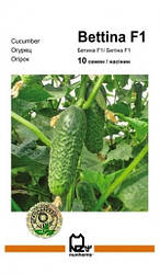 БЕТТИНА F1 / BETTINA F1, 10 насіння — огірок партенокарпічний, Nunhems