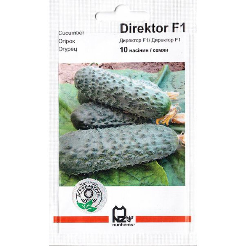 ДИРЕКТОР F1 / DIRECTOR F1, 10 насінин — партенокарпічний огірок, Nunhems