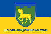 Флаг 111 ОБрТрО ВСУ сине-желтый 1