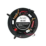 Акустична система Arylic RK525, фото 4