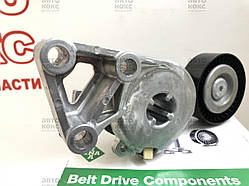 INA 533007630 Натягувач ременя генератора VW Golf Bora Caddy Skoda Fabia, Octavia