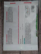 Насіння руколи Вікторія 8 гр, фото 3