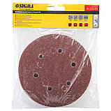 Шліфувальний круг 6 отворів Ø150 мм P60 (10 шт.) SIGMA (9122241), фото 5