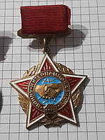 Нагрудный знак «Воину-интернационалисту»