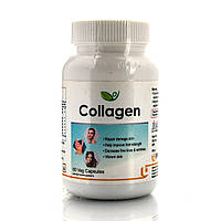 Коллаген, Collagen Biotrex 60 veg.capsule для здоровья суставов, кожи и волос