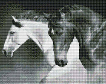 Алмазна мозаїка по номерам на холсті 40*50см Идейка АМО7421 Чорно-біла сила