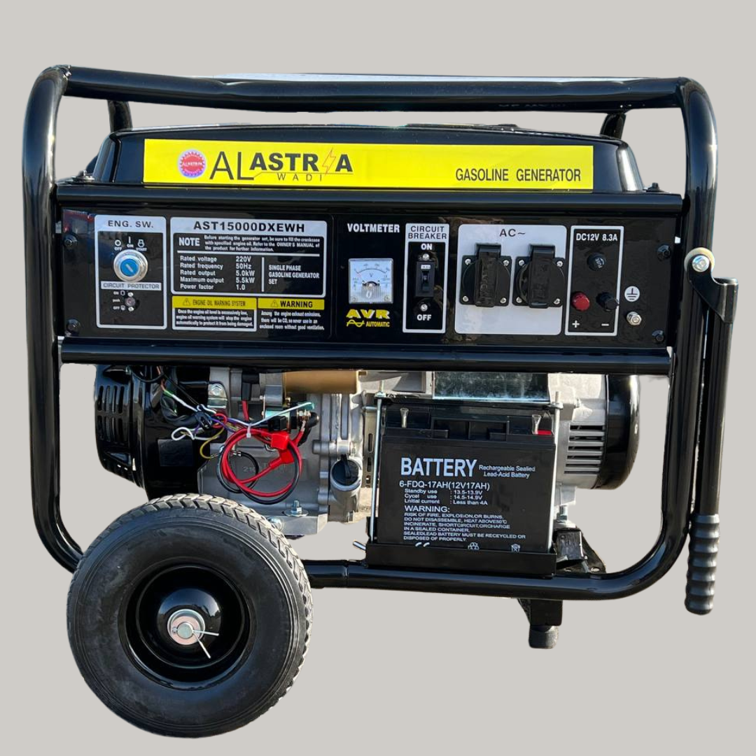 Генератор Бензиновый AL ASTRA AST17500DXEWH 7.5-7KW Стартер ...