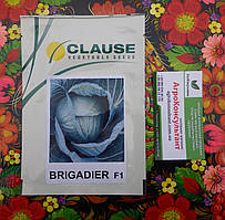 Насіння капусти Бригадир F1 (Clause), 2 500 насінин - середньопізня (110-120 днів), білокачанна, Франція