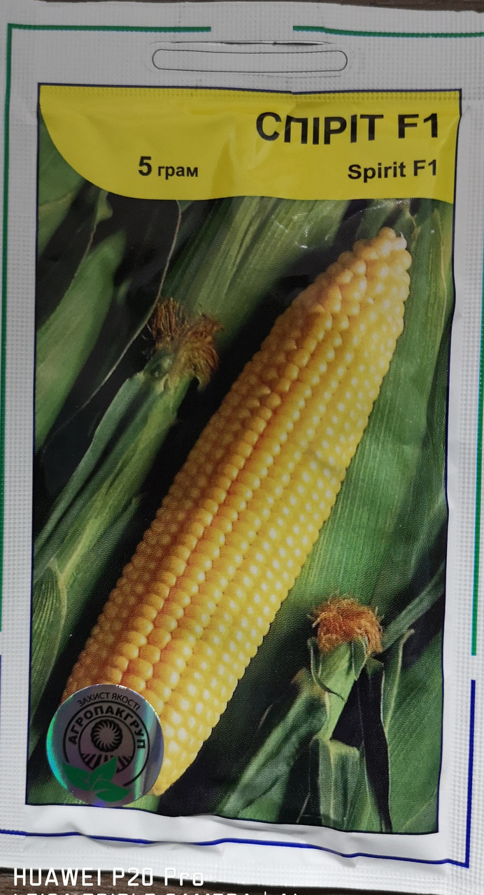Кукурудза Спіріт F1 5гр.