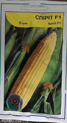 Кукурудза Спіріт F1 5гр., фото 1