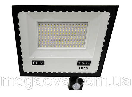 Прожектор LED 100w Ultra Slim 220V 9000Lm 6500K IP65+ДР(TNSy500517), фото 1