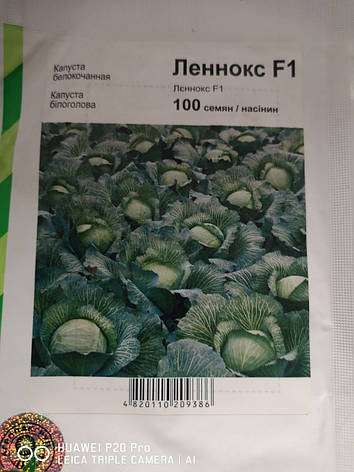 Капуста Леннокс F1 100 нас., фото 1