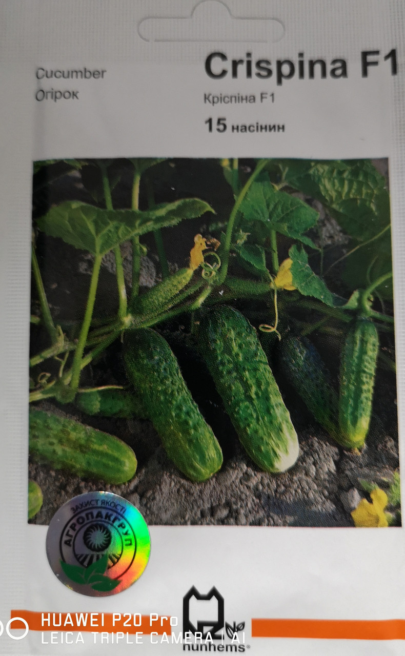 Огірок Кріспіна F1 15 нас.