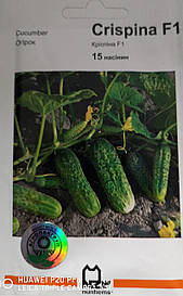 Огірок Кріспіна F1 15 нас.