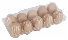 Контейнер для курячих яєць х10 шт.