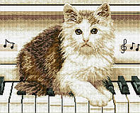 Набор Алмазная мозаика вышивка (квадратные стразы, полная выкладка, без подрамника) "Котик на рояле" 40х50см