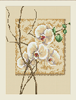 Набор Алмазная мозаика вышивка (квадратные стразы, полная выкладка, без подрамника) 30х40 "Орхидея" ST404