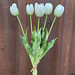 Искусственный латексаный тюльпан пучок 5 веток белый 37 см, фото 3
