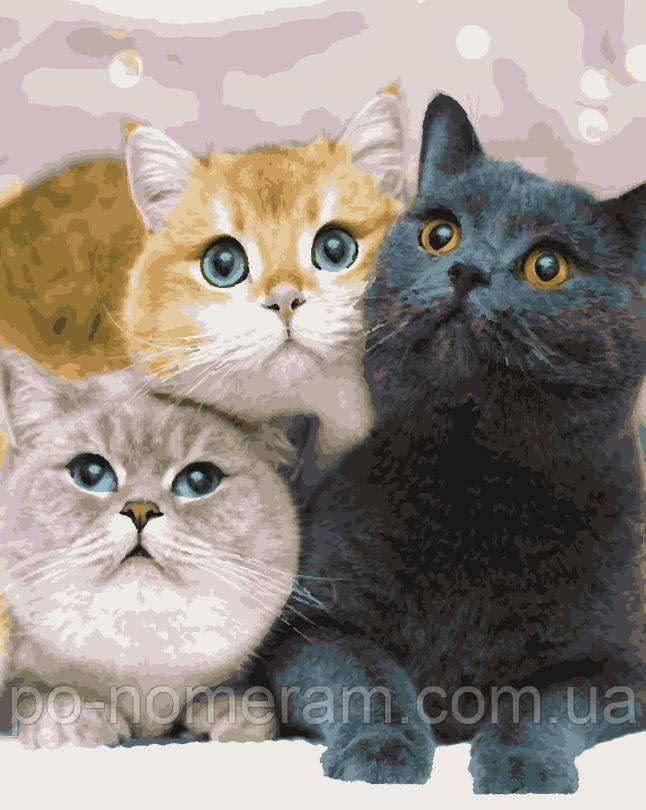 Акційна Картина за номерами Artissimo Котейки (PN4203) 40 х 50 см, фото 1