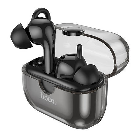 Навушники вакуумні безпровідні з мікрофоном Hoco EW22 TWS Bluetooth в кейсі Чорний (EW22/Black), фото 1