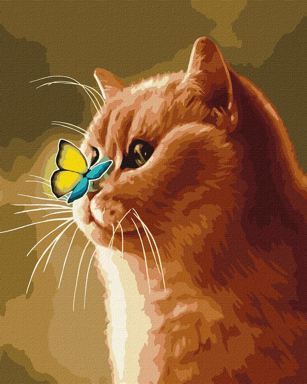 Кота с бабочкой