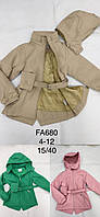 Куртки для дівчаток оптом, F&D, 4-12 років, арт. FA-680, фото 6