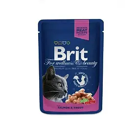 Вологий корм для котів Brit Premium Cat Pouches З лососем та фореллю 100г (8595602505999)
